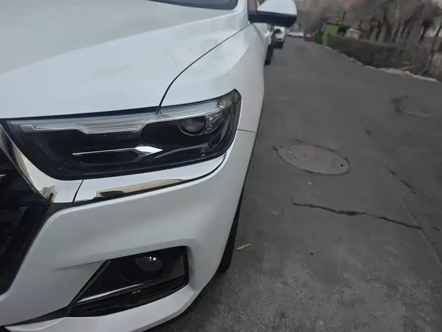 Haval H6 2024 из CN, фото 4