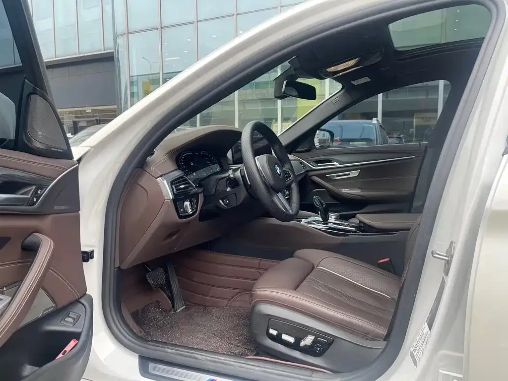 BMW 5 Series 2021 из CN, фото 4