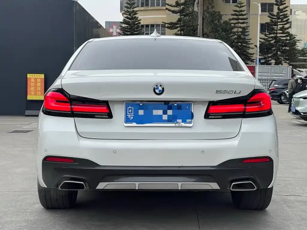 BMW 5 Series 2021 из CN, фото 3