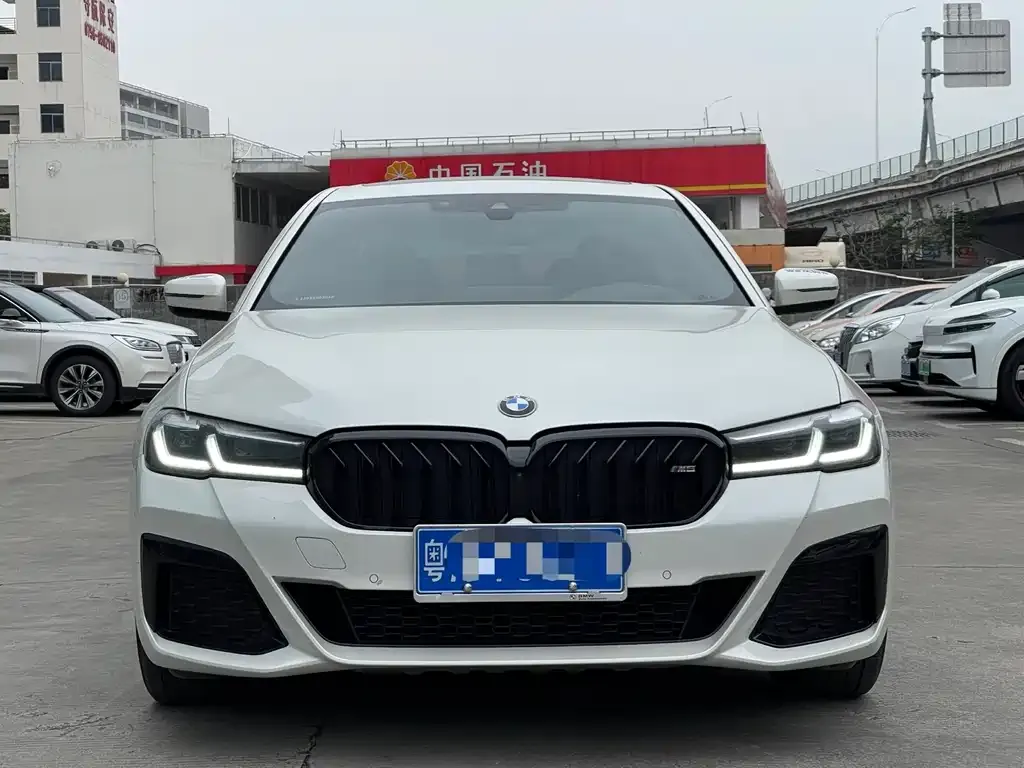 BMW 5 Series 2021 из CN, фото 7