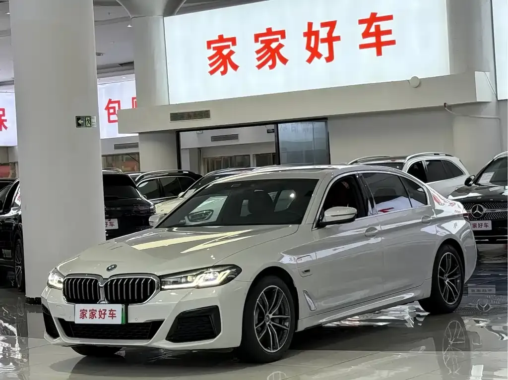 BMW 5 Series New Energy 2022 из CN, фото 1