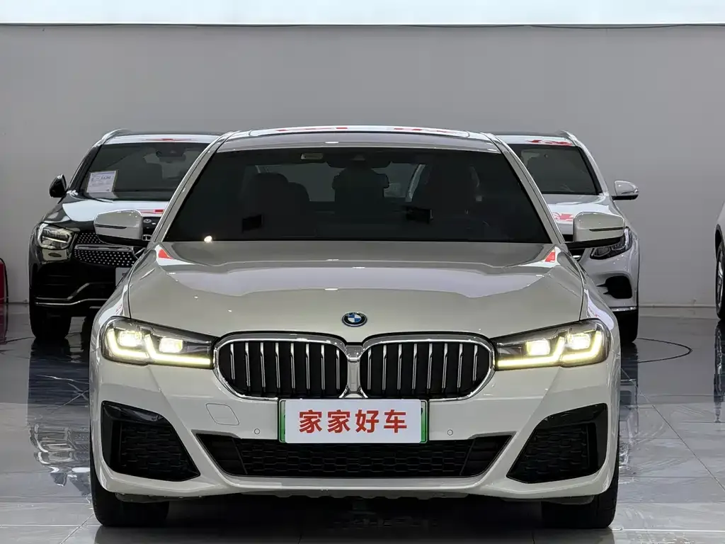 BMW 5 Series New Energy 2022 из CN, фото 3