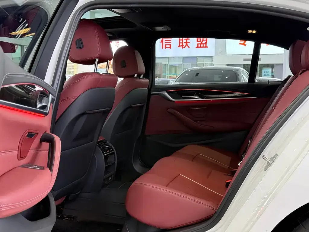 BMW 5 Series New Energy 2022 из CN, фото 6