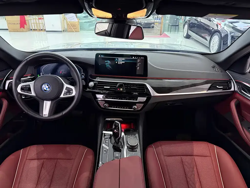 BMW 5 Series New Energy 2022 из CN, фото 10