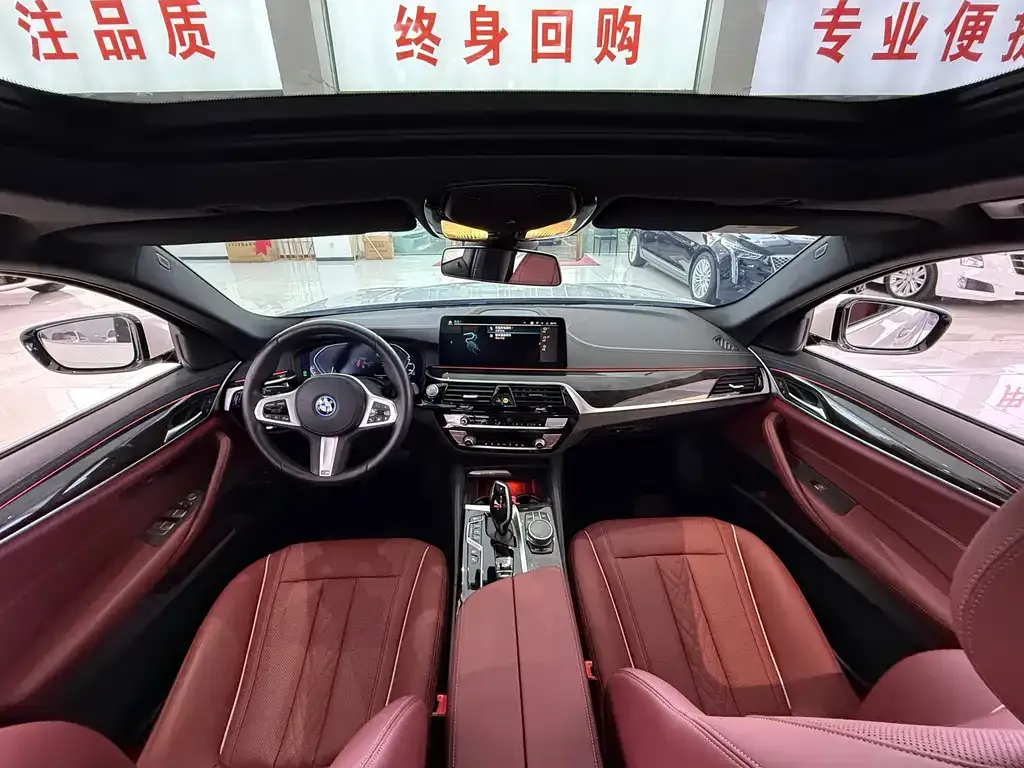 BMW 5 Series New Energy 2022 из CN, фото 9