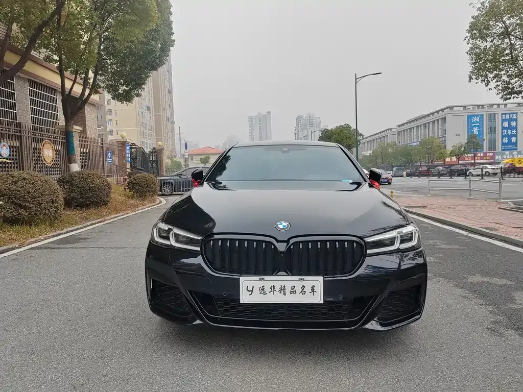 BMW 5 Series 2022 из CN, фото 6