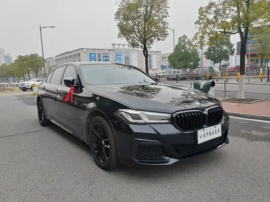 BMW 5 Series 2022 из CN, фото 5