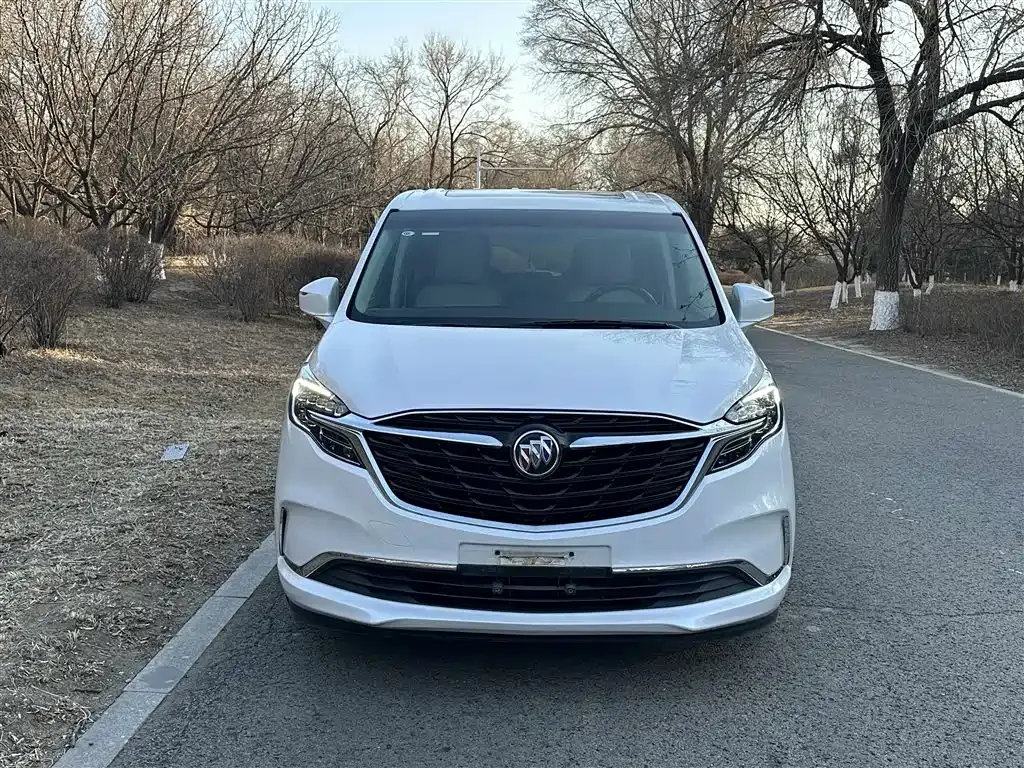 Buick GL8 2022 из CN, фото 9