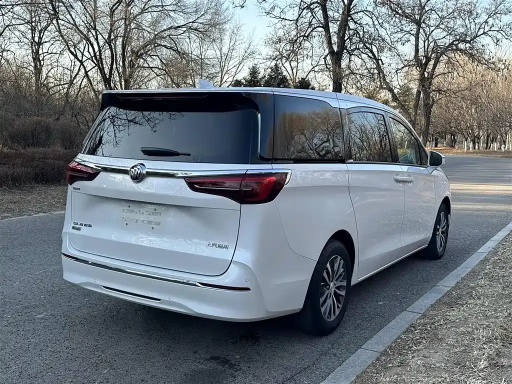 Buick GL8 2022 из CN, фото 8