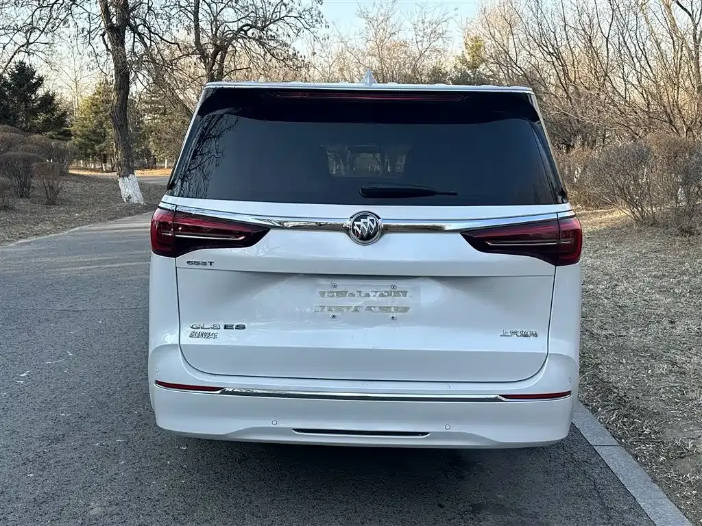 Buick GL8 2022 из CN, фото 10