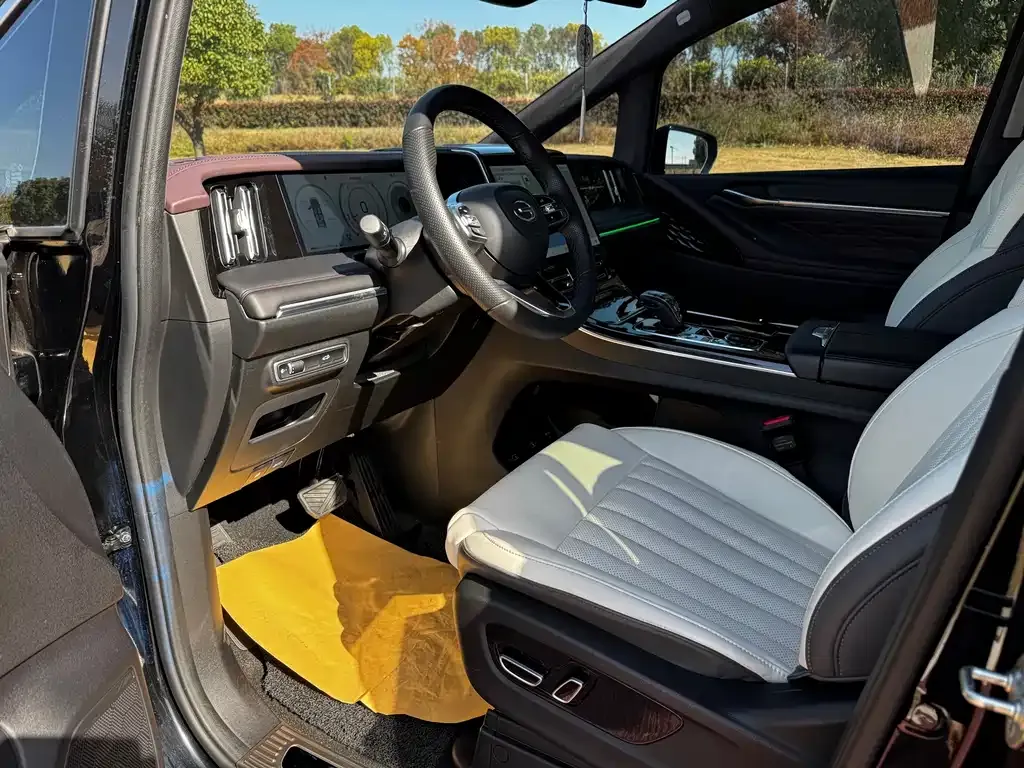 GAC Motor Trumpchi M8 2024 из CN, фото 8