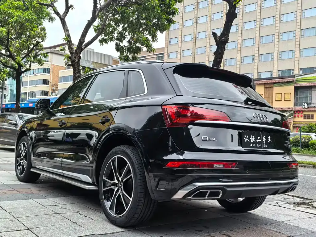 Audi Q5L — фото 6