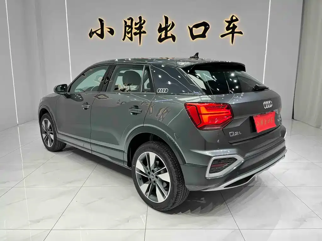 Audi Q2L 2023 из CN, фото 8