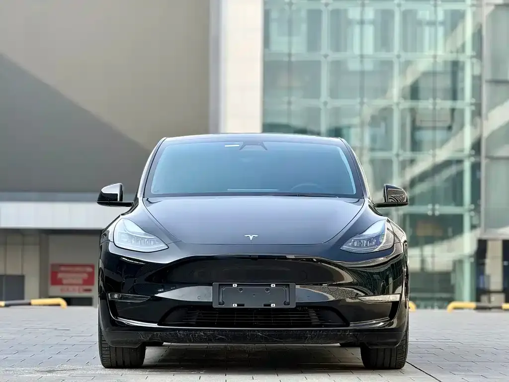 Tesla Model Y — фото 7