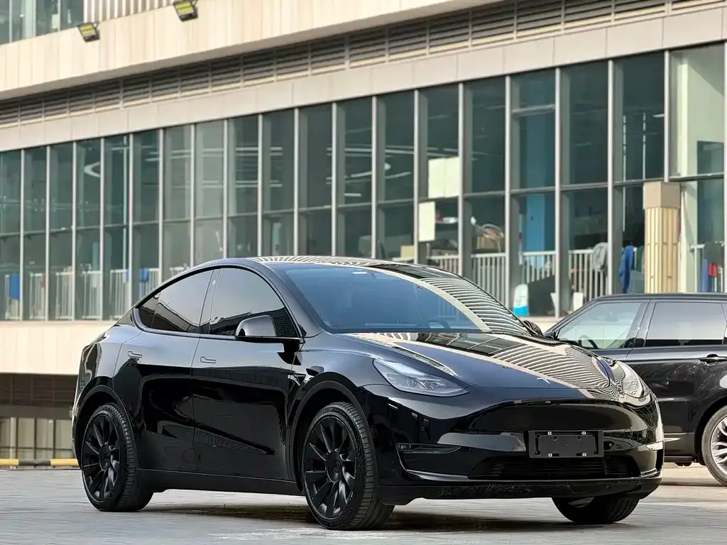 Tesla Model Y — фото 9