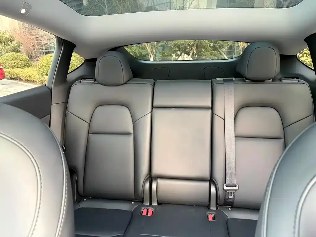 Tesla Model Y 2024 из CN, фото 6