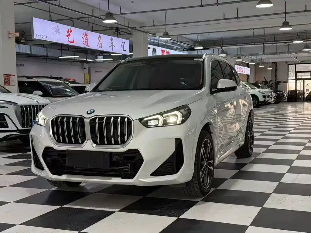 BMW X1 2024 из CN, фото 6