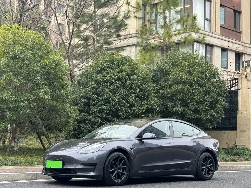 Tesla Model 3 2021 из CN, фото 1