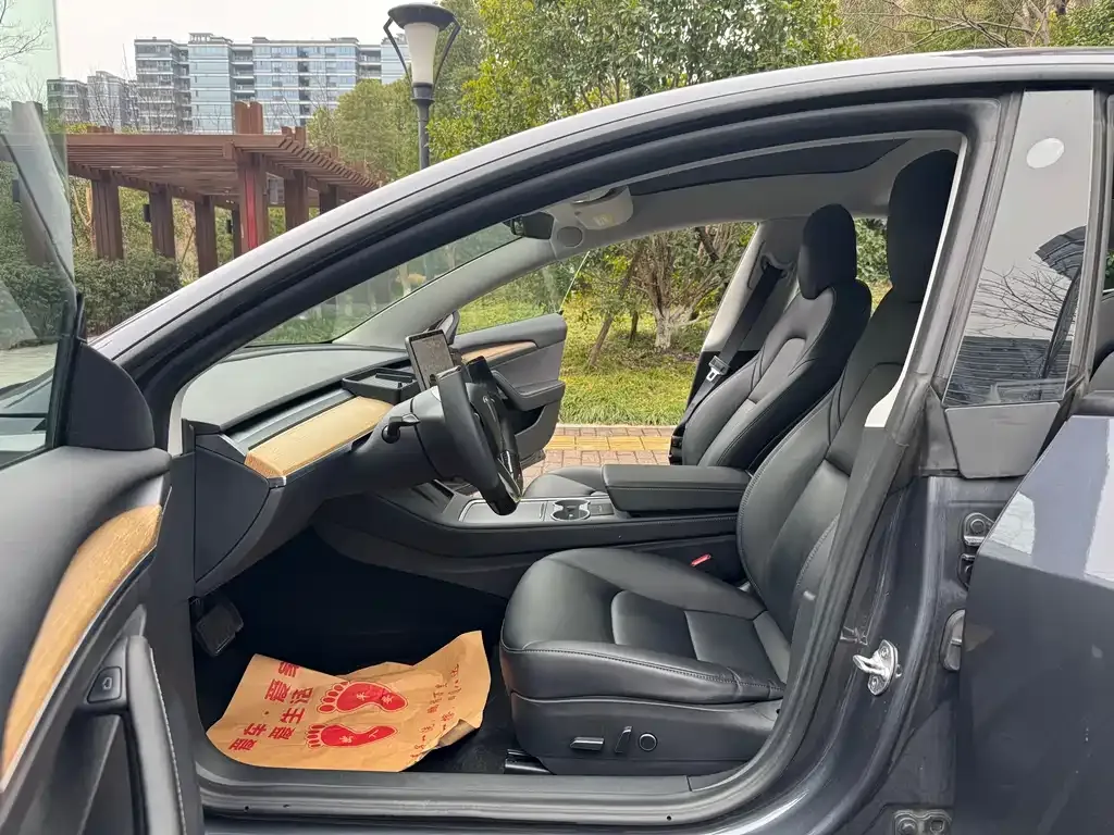 Tesla Model 3 2021 из CN, фото 10