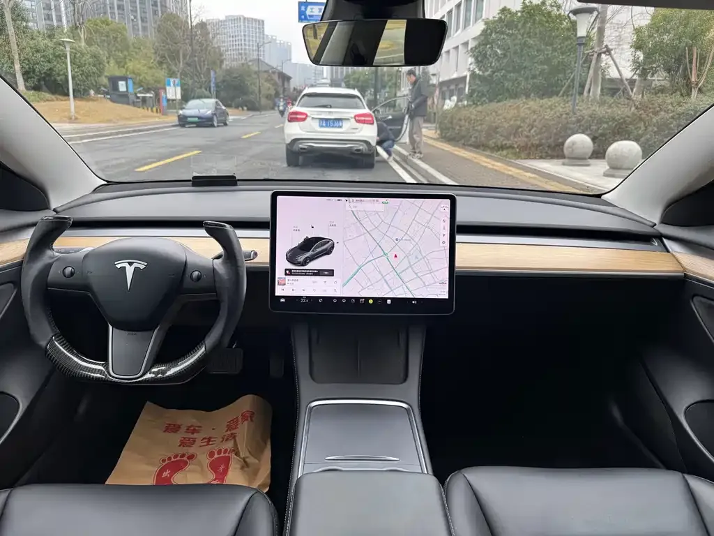 Tesla Model 3 2021 из CN, фото 5