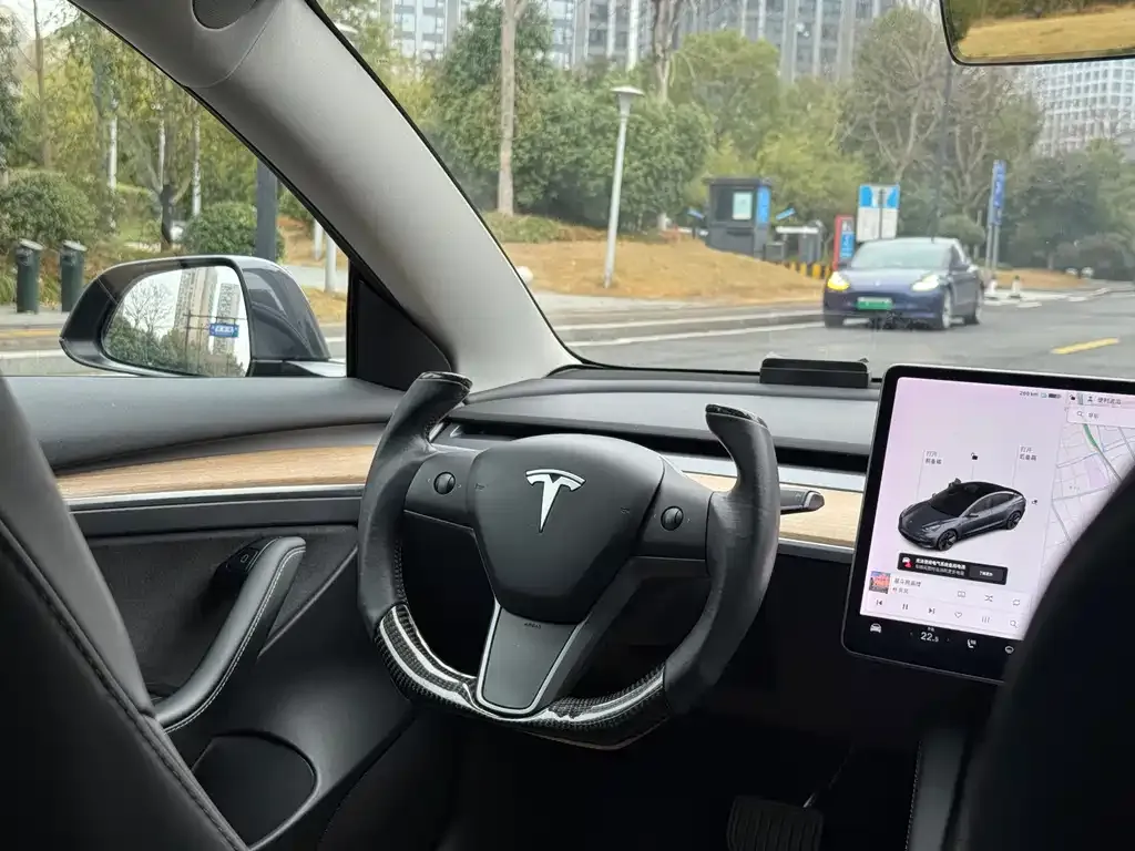 Tesla Model 3 2021 из CN, фото 3