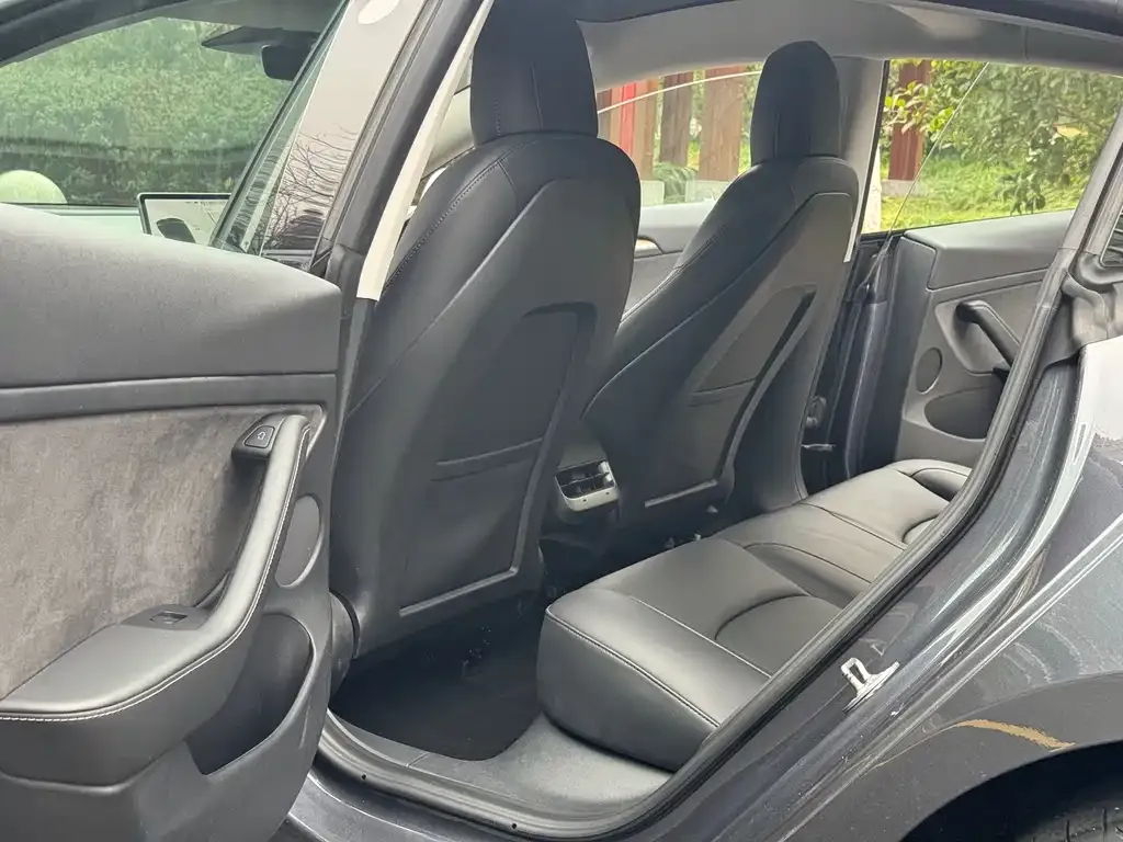 Tesla Model 3 2021 из CN, фото 4
