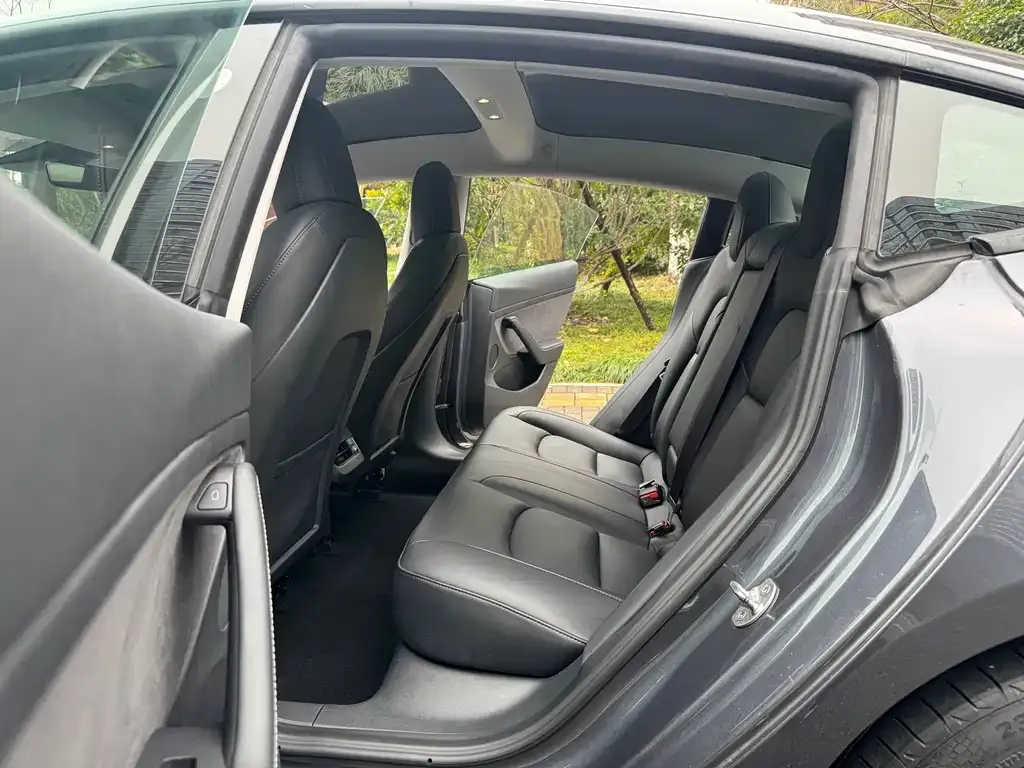 Tesla Model 3 2021 из CN, фото 6