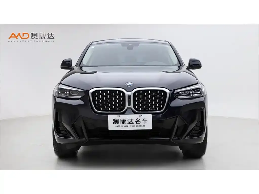 BMW X4 2024 из CN, фото 5