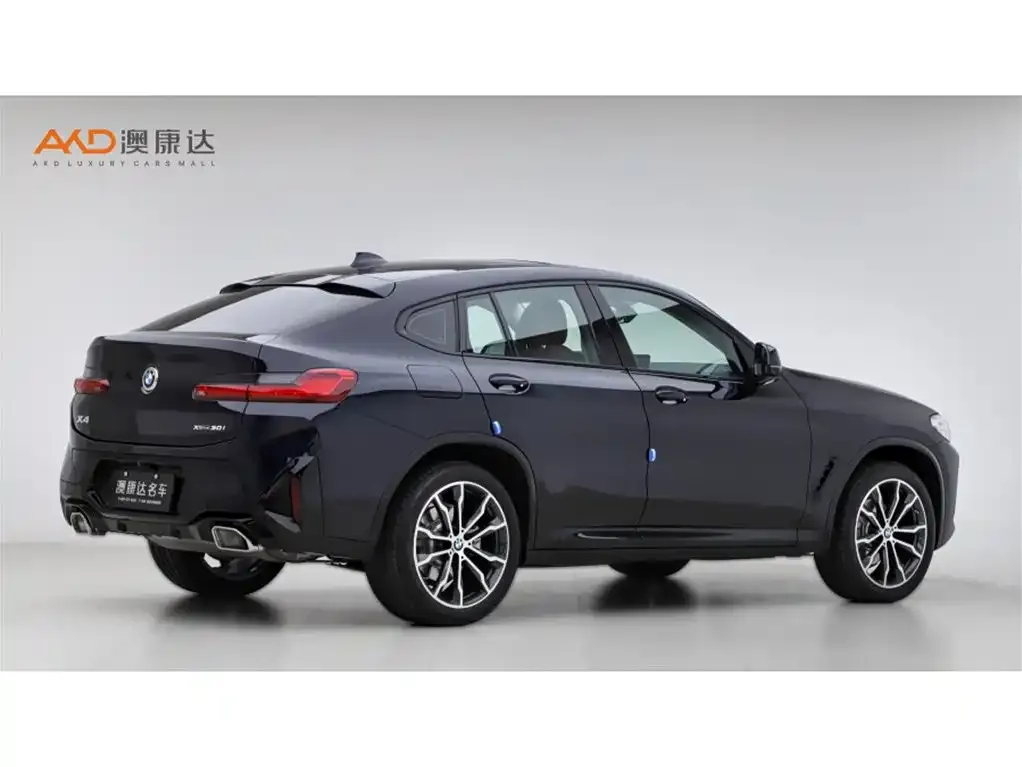BMW X4 2024 из CN, фото 10