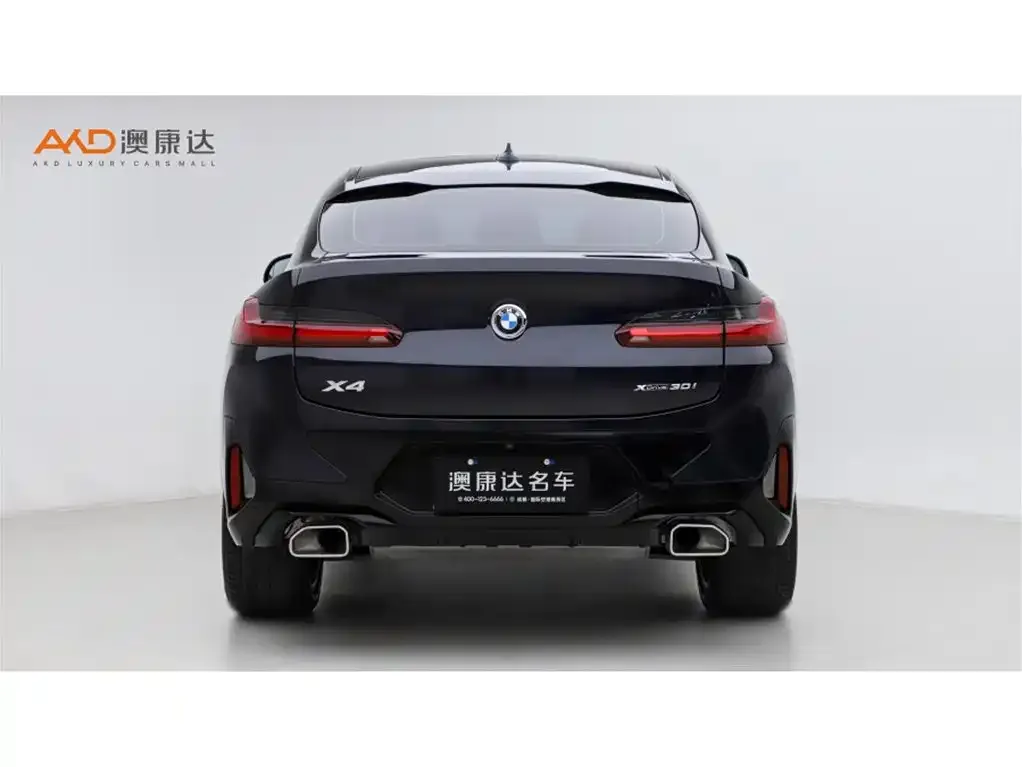 BMW X4 2024 из CN, фото 4