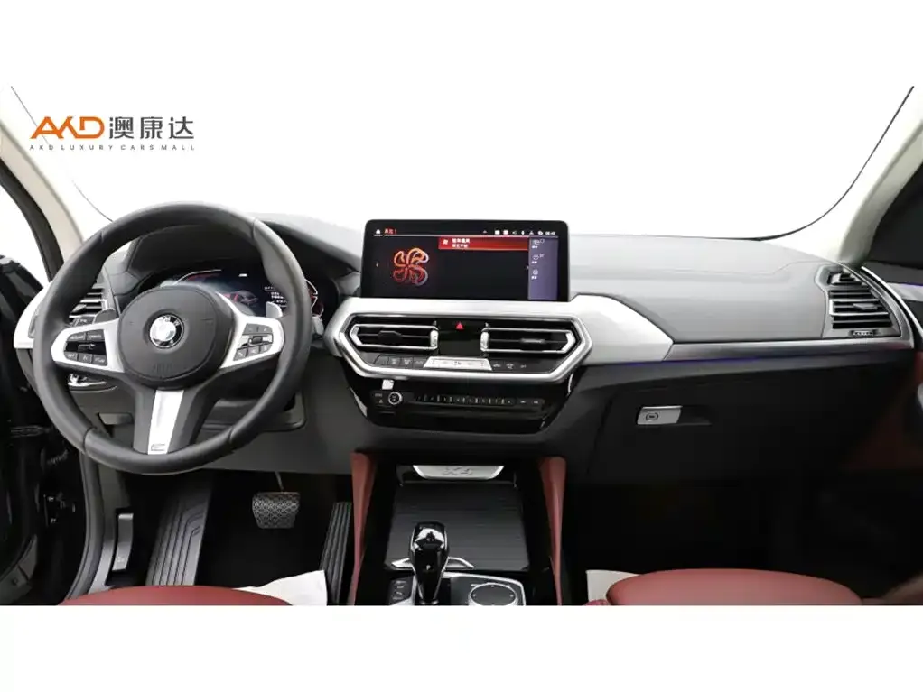 BMW X4 2024 из CN, фото 2