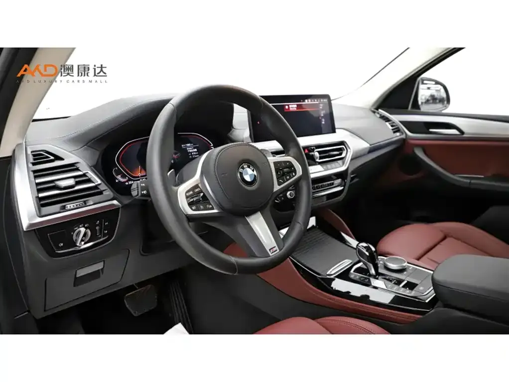 BMW X4 2024 из CN, фото 9