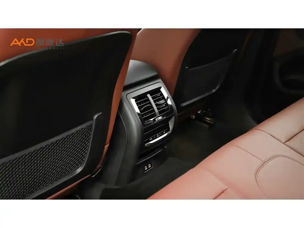 BMW X4 2024 из CN, фото 6