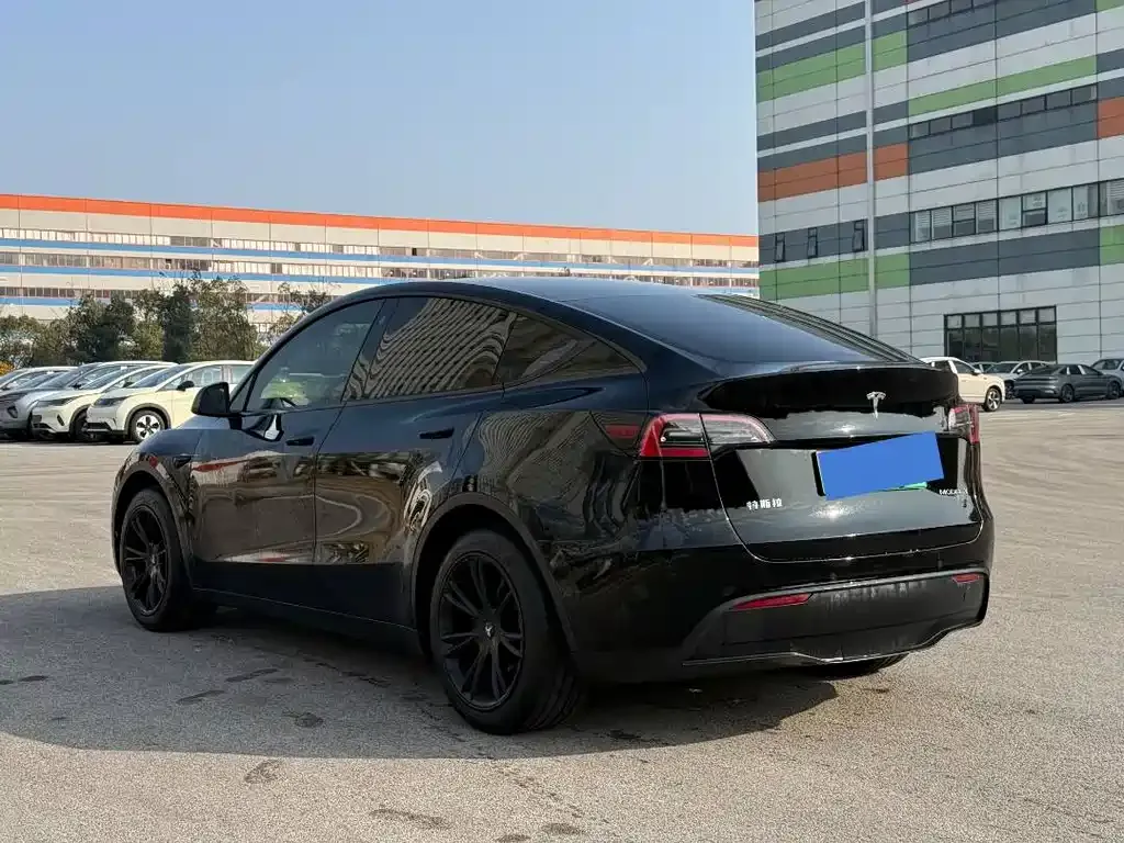 Tesla Model Y 2024 из CN, фото 6