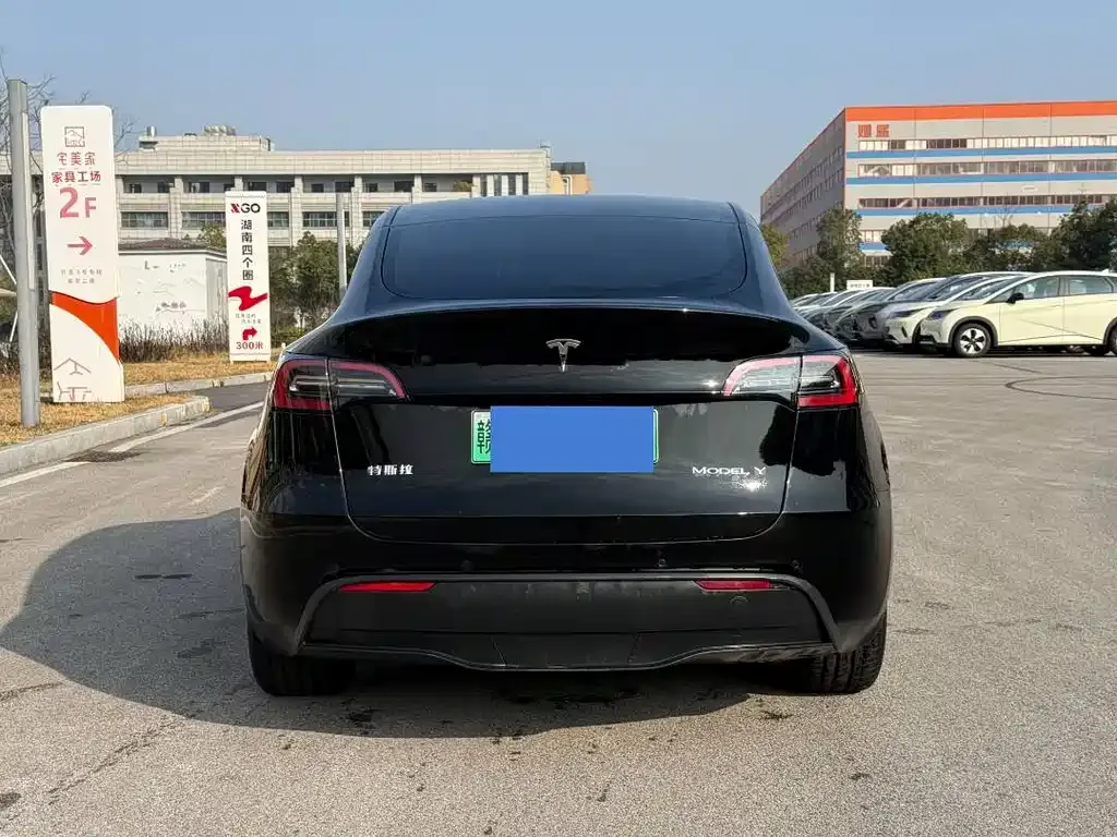 Tesla Model Y 2024 из CN, фото 4