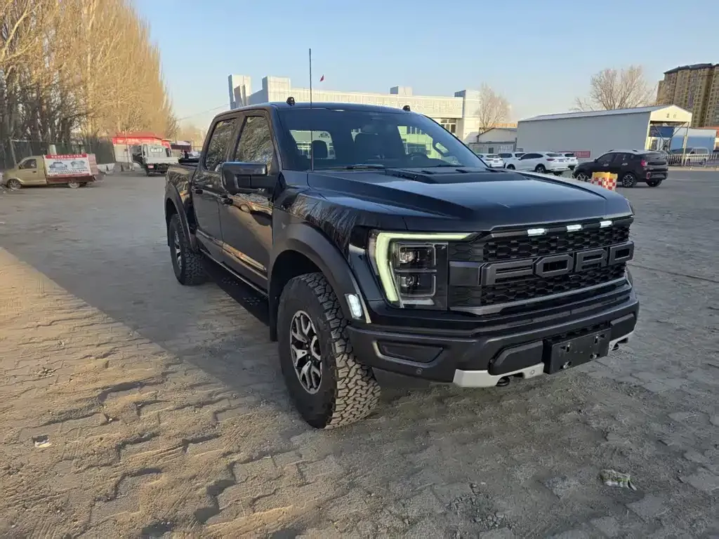 Ford F-150 Raptor 2023 из CN, фото 6