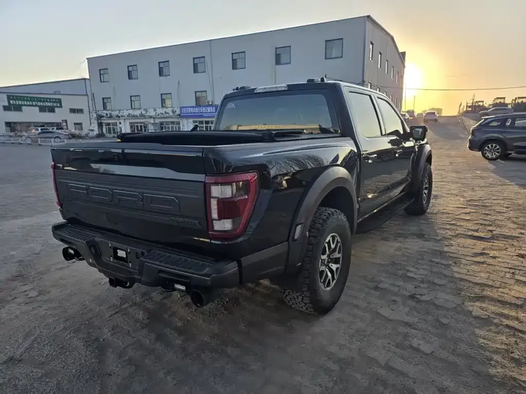 Ford F-150 Raptor 2023 из CN, фото 4