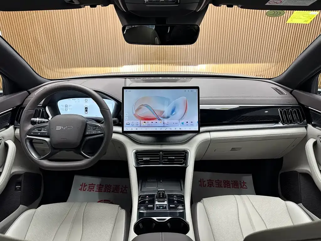 BYD PLUS New Energy — фото 10