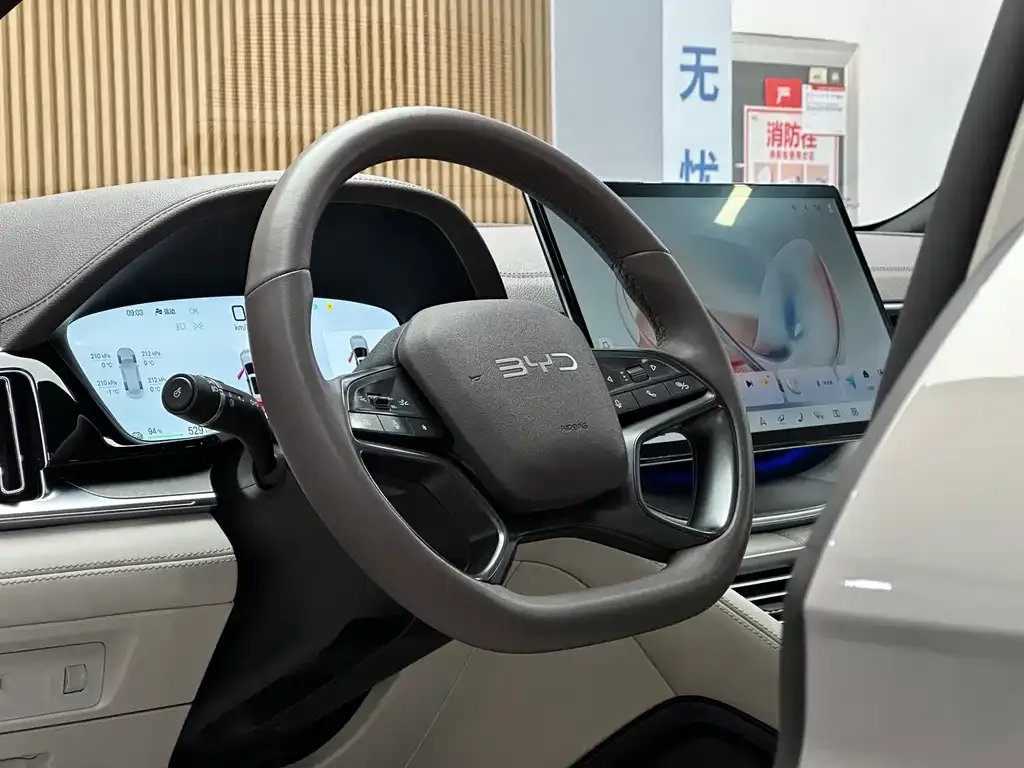 BYD PLUS New Energy — фото 4