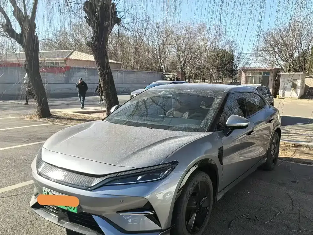 BYD L EV 2024 из CN, фото 1