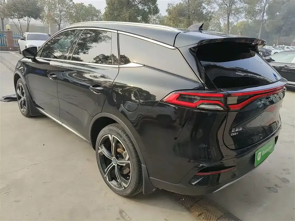 BYD Tang New Energy — фото 10