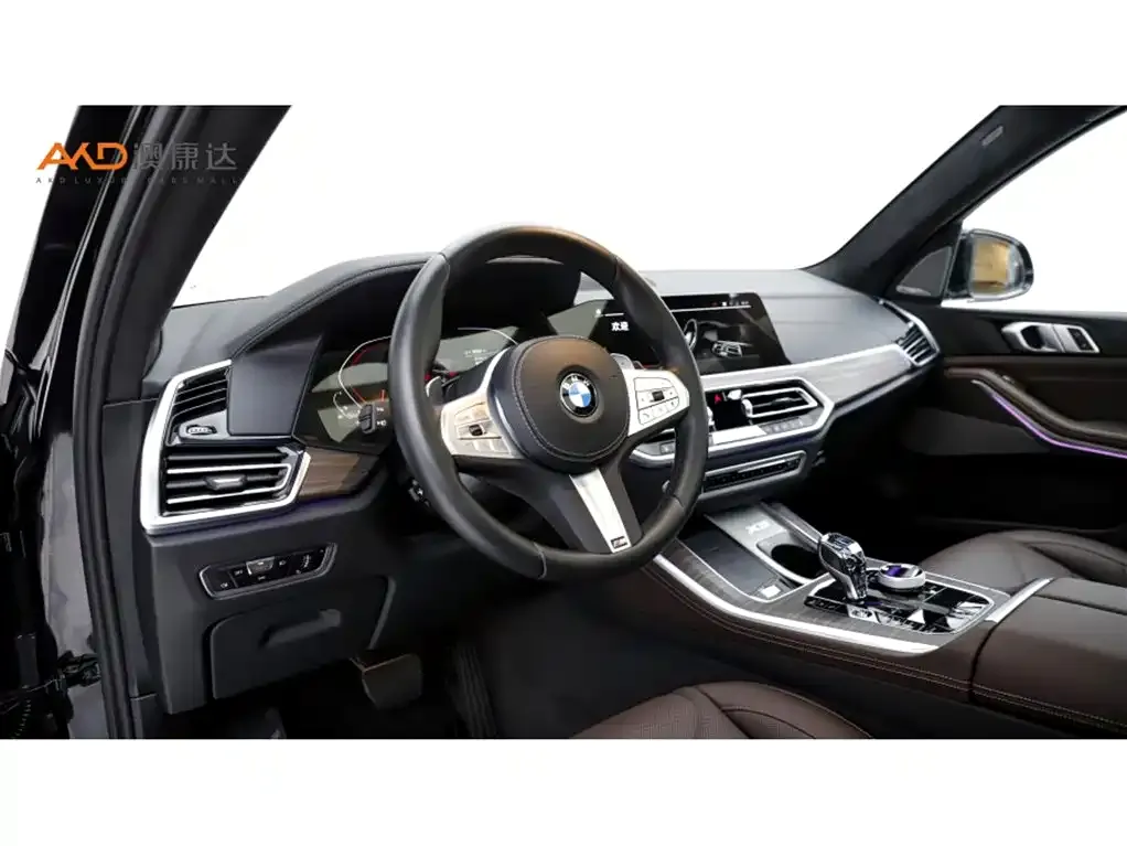 BMW X5 (Import) 2023 из CN, фото 10