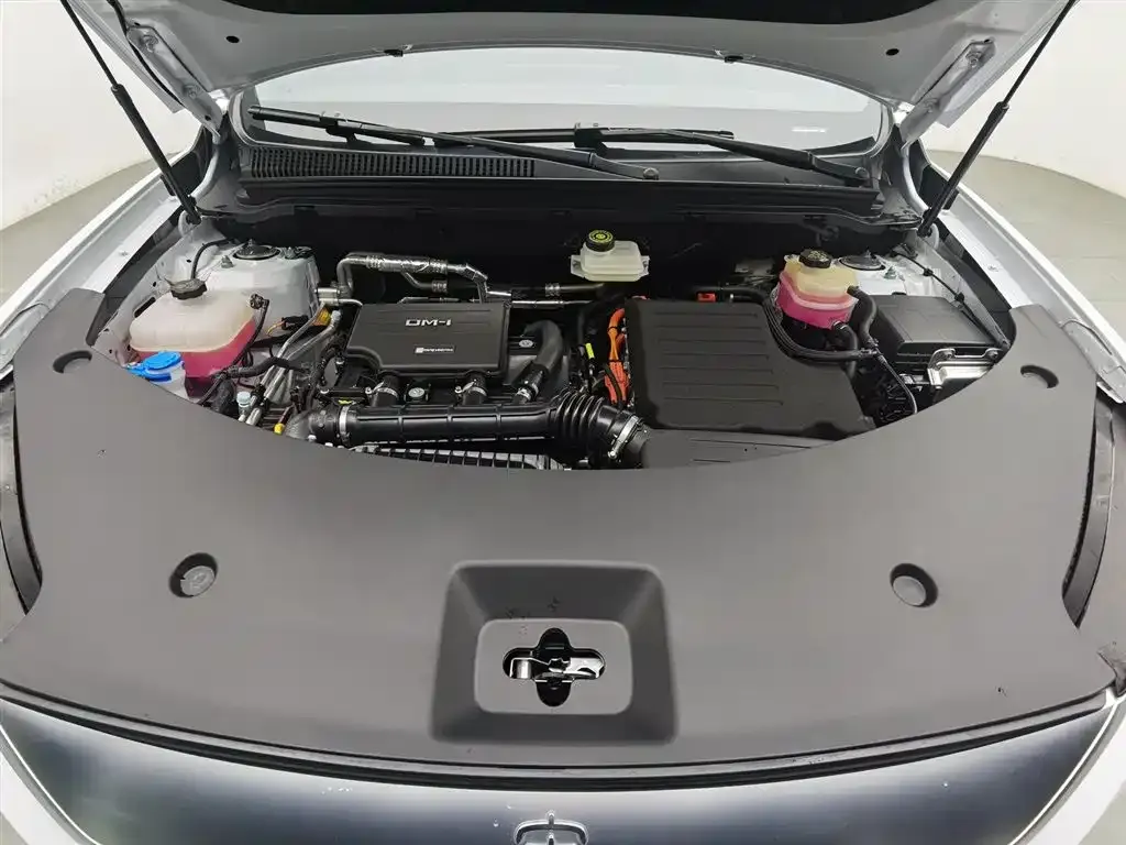 BYD Pro New Energy — фото 4