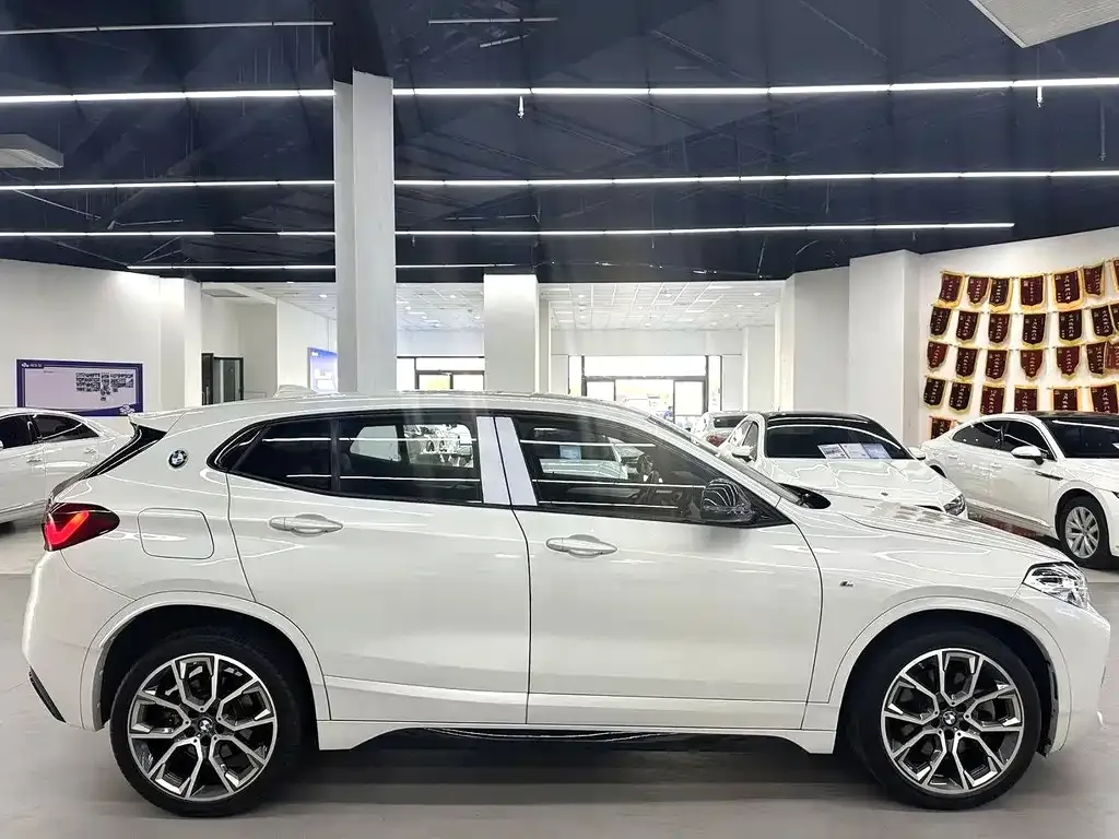 BMW X2 2021 из CN, фото 2