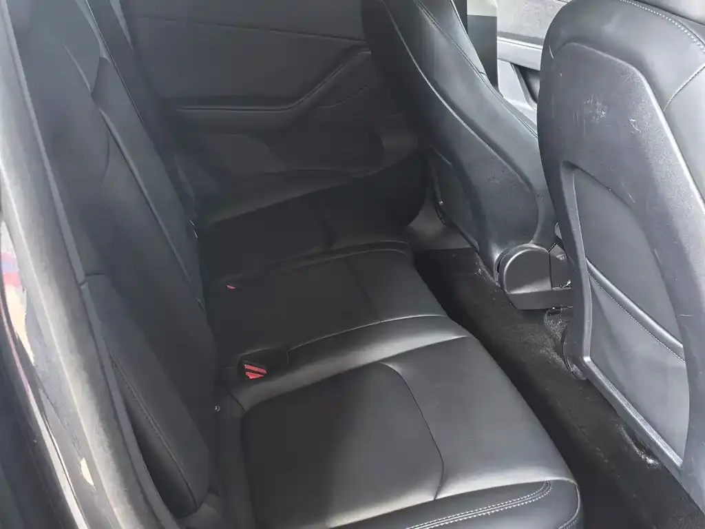 Tesla Model Y 2024 из CN, фото 2