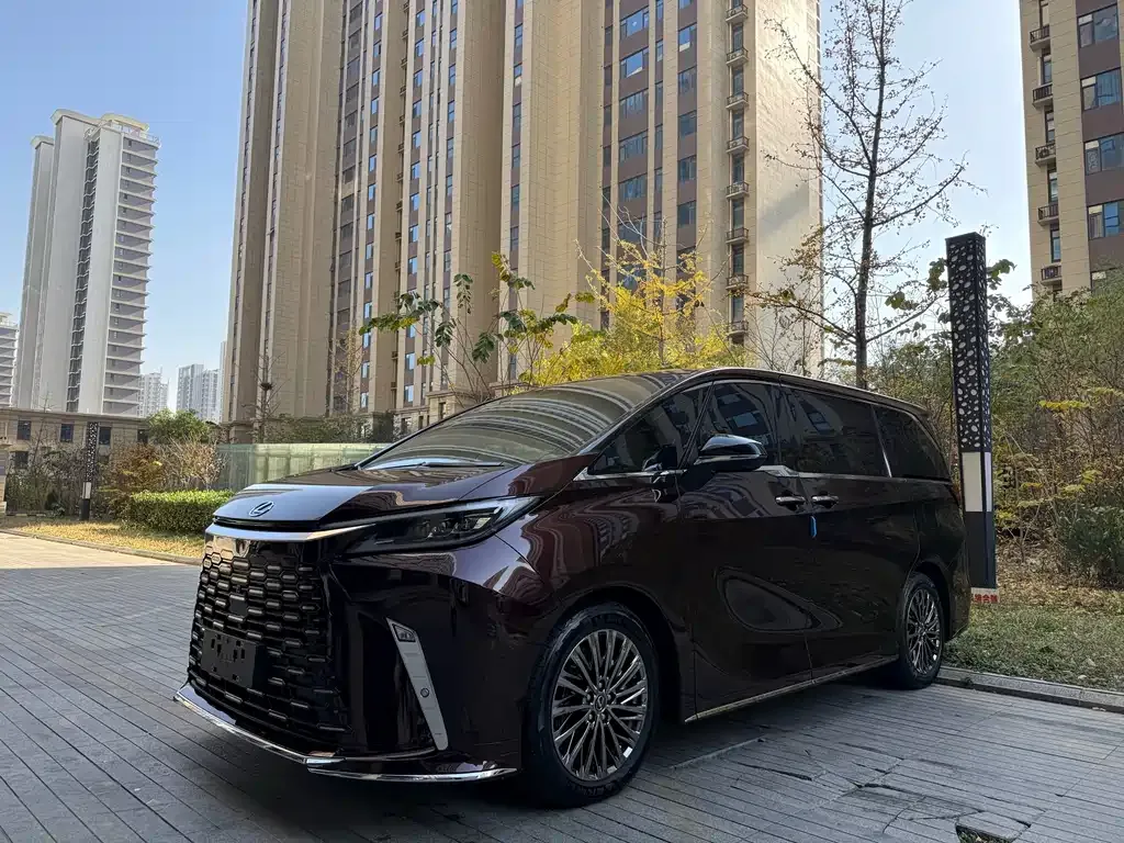 Lexus LM 2024 из CN, фото 4