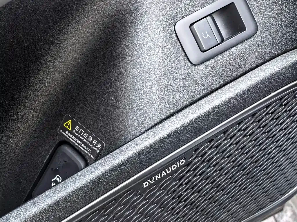BYD L EV — фото 10