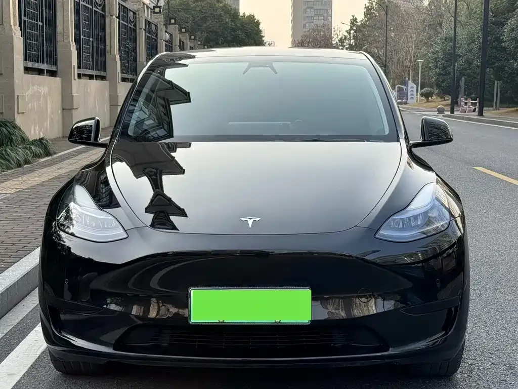 Tesla Model Y 2023 из CN, фото 2