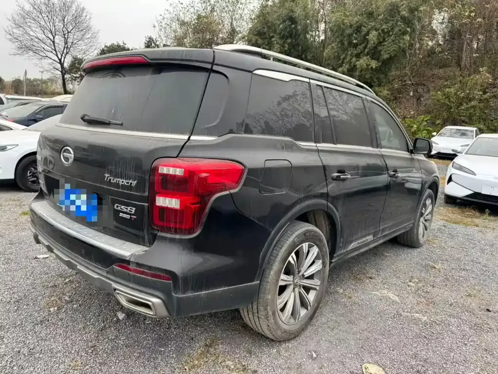 GAC Motor Trumpchi GS8 2021 из CN, фото 5