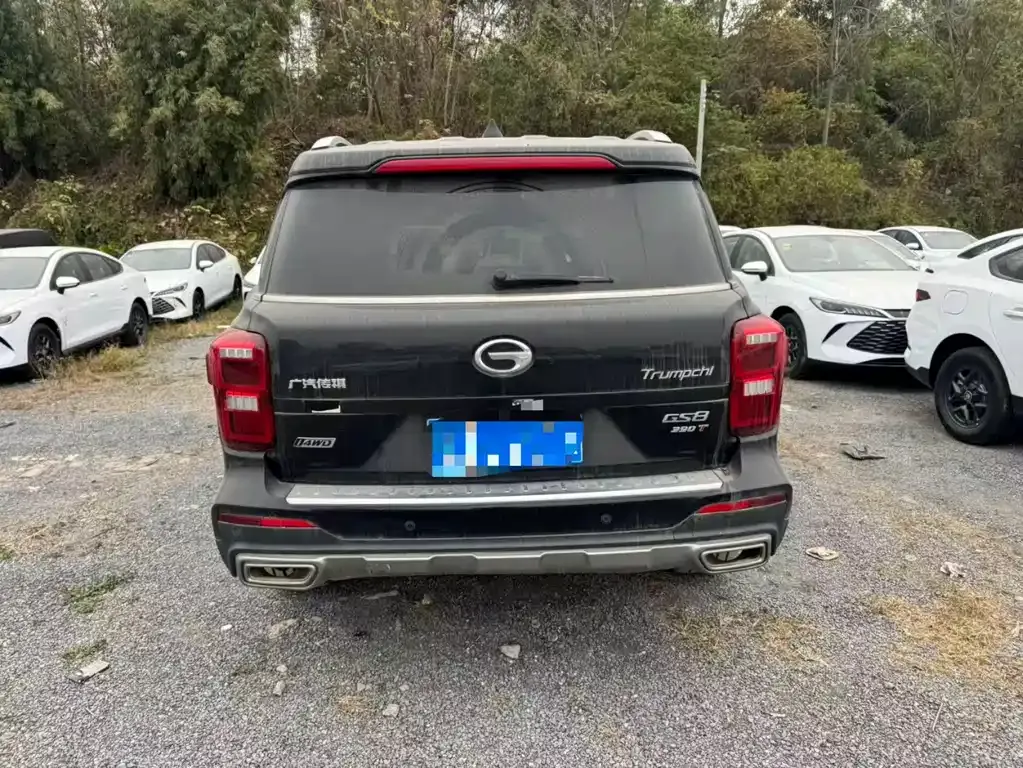 GAC Motor Trumpchi GS8 2021 из CN, фото 9